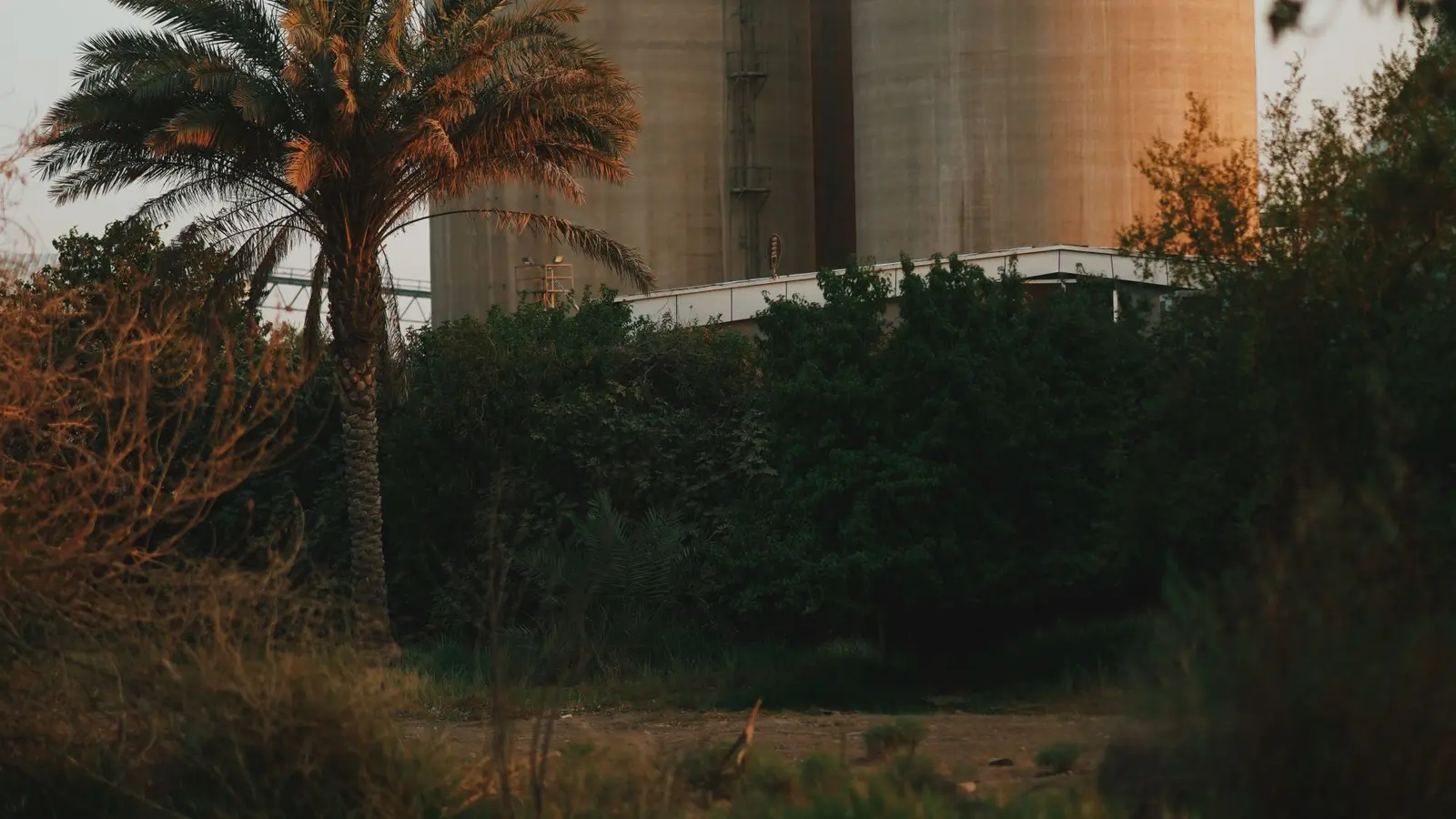 Illustrative concrete plant with storage silos surrounded by trees